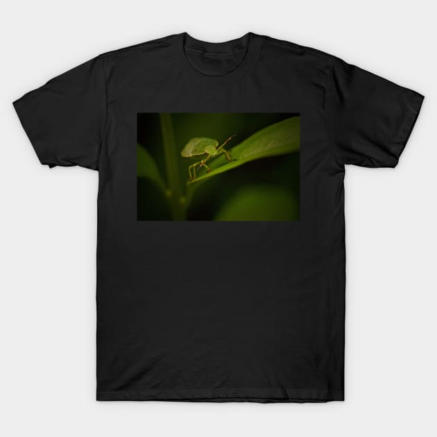 DON'T LEAF THE LITTER TO US T-Shirt by dumbodancer